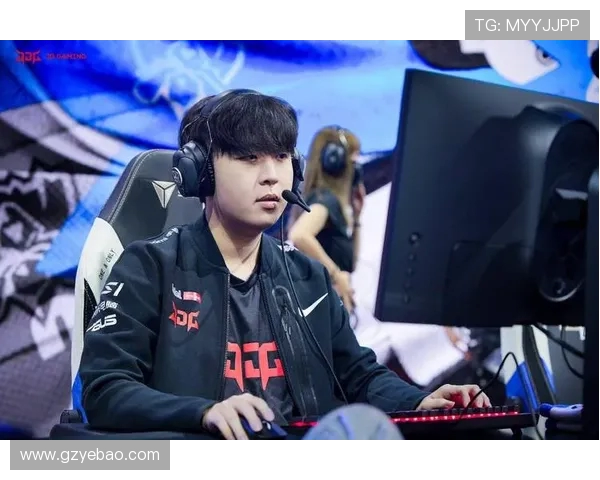 JDG战队个人能力分析与团队协作的深度探讨