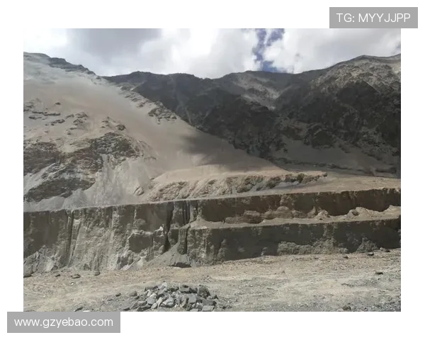 城市赛特别报道:BLG战队的崛起与挑战之路全景回顾