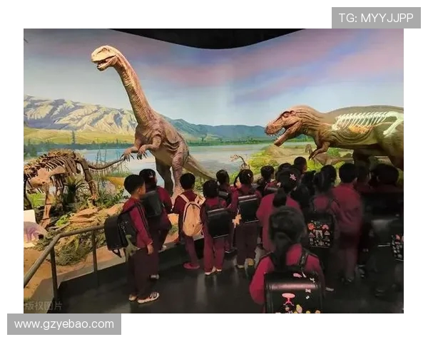 成都足球队的灵活性揭秘与战术创新探索之旅