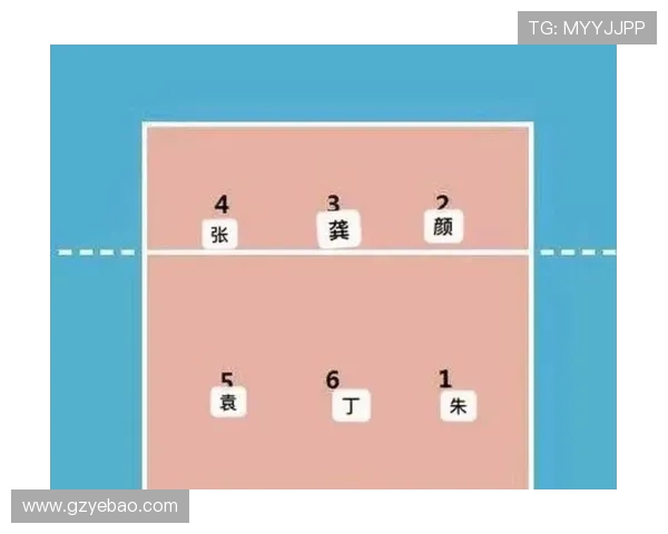 排球配合排行榜：深圳排球队位居第2名