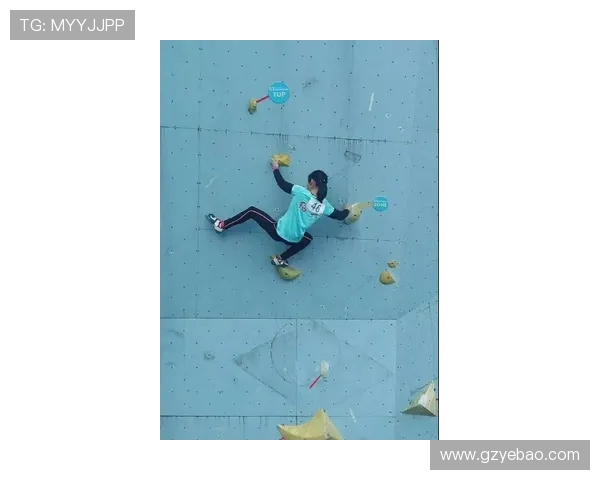 杭州攀岩队荣获全国攀岩团队协作排行榜第三名的佳绩