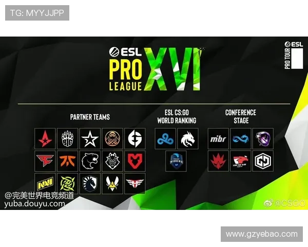 热议CSGOIG战队耐力变革背后的策略与挑战分析