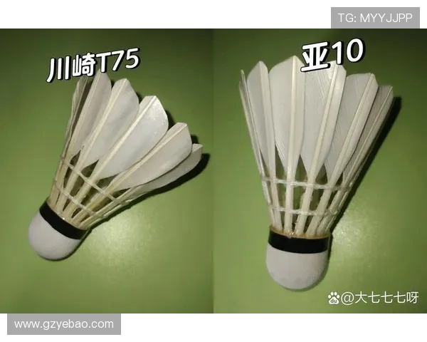 羽毛球装备选购指南：必备训练器材推荐与使用技巧分享