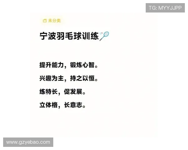 科学羽毛球训练与比赛经验分享提升竞技水平的有效方法