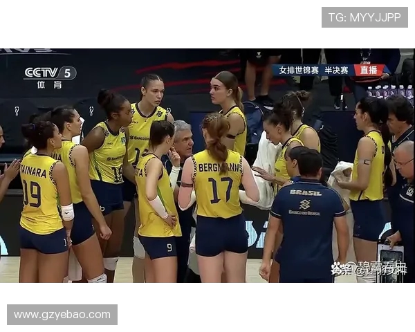 2014年女排世界杯精彩对决中国女排迎战强敌巴西队的巅峰之战