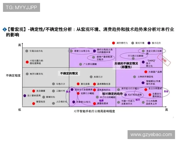 探索Vs利华古逊的市场策略与竞争优势分析