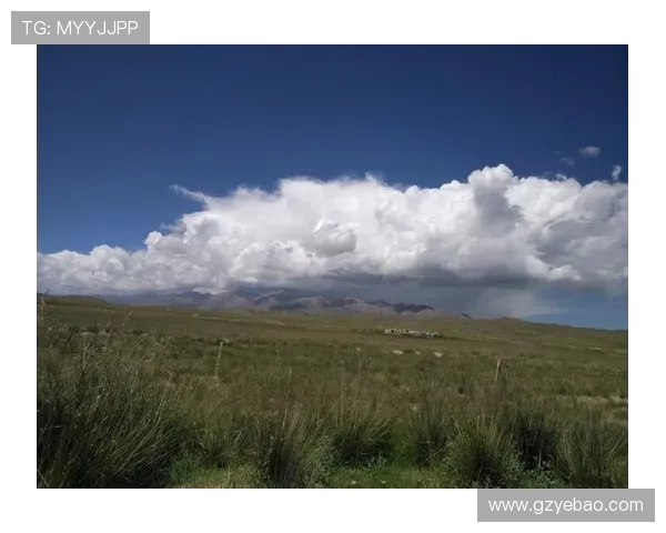 重庆街舞队的奋斗之路：一段热血青春的真实记录与心灵碰撞