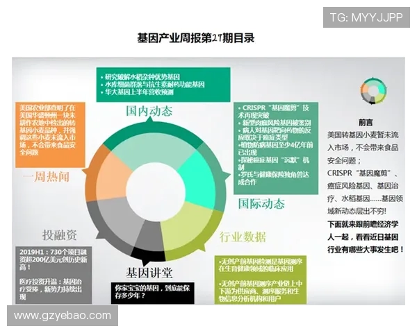 麦独立与梅尔加对决前瞻分析及比赛结果预测