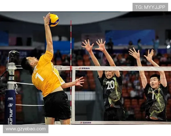 上海排球队技术争议引发热议球迷与专家各执己见探讨战术与表现