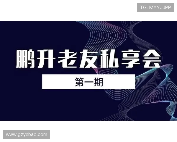 南京羽毛球队战术解析：从传统打法到灵活转换的成功之路